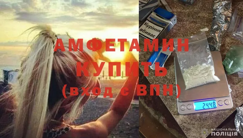 где купить наркоту  Фокино  Amphetamine VHQ 